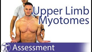 Myotomes Upper Limb  Peripheral Neurological Examination [upl. by Amersham]