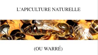 Lapiculture en warré [upl. by Ardnasela]