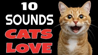 10 Sounds Cats Love To Hear The Most [upl. by Razec]