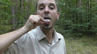 Tutoriel Vogl pfeiferl  Bird whisle  Bird pipe  Appeau à oiseaux [upl. by Andrews]