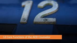 Addictions Counselor Core Skills Part I The 12 Core Functions [upl. by Nnaylrebmik]