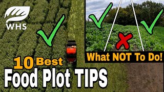 10 Critical Food Plot Planting Tips [upl. by Areht]