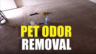 Deodorizing Carpet for Dog Odor  Enzyme treatment [upl. by Suivatna]