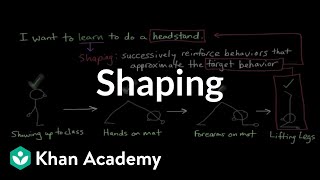 Operant conditioning Shaping  Behavior  MCAT  Khan Academy [upl. by Northington]