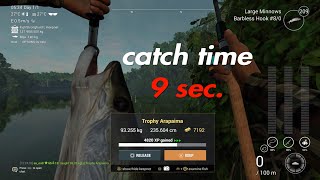 Fishing Planet  Very EasyampFast to Catch Trophy ARAPAİMA TIPS [upl. by Aerdnaxela865]