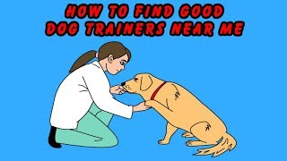 🐶 How to Find Good Dog Trainers Near Me 🐶 [upl. by Mazlack]