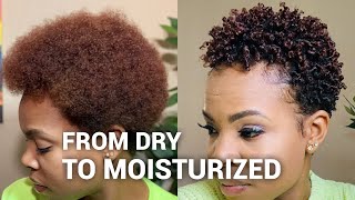 Styling my DRY natural hair  wash and go [upl. by Riane]