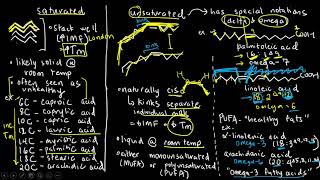 BIOCHEM 9  Fatty Acids [upl. by Elleryt398]