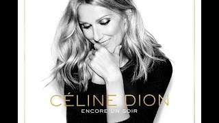 Céline Dion  Encore un soir  ParolesLyrics [upl. by Ettelrac]