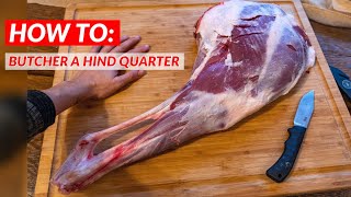 How To Butcher a DEER Hind Quarter [upl. by Eleumas]