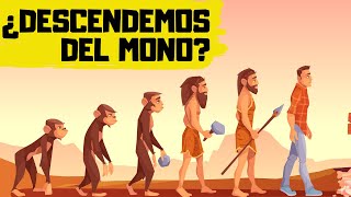 🐒TEORÍA de la EVOLUCIÓN de DARWIN ✅ EXPLICACIÓN RÁPIDA y SENCILLA [upl. by Alaham849]