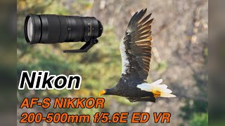 Nikon AFS NIKKOR 200500mm f56E ED VR作例 ① [upl. by Hassin]