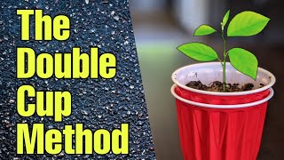 The Double Cup Method to Start Seeds [upl. by Ellie]