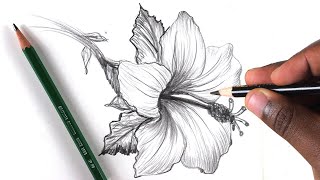 How To Draw A Flower Step by Step In 10 Minutes [upl. by Kayle]