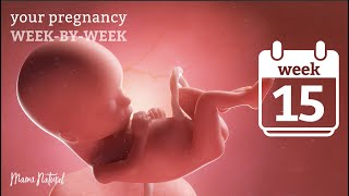 15 Weeks Pregnant  Natural Pregnancy WeekByWeek [upl. by Mylan]