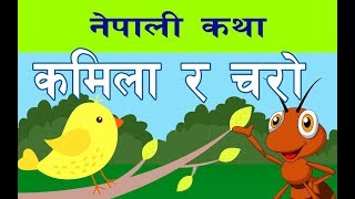 कमिला र चरा नेपाली कथा  Stories for Kids  Nepali Stories for Kids [upl. by Nirrak392]