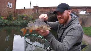 Catch 100s of Fish From Your Local Urban Canal [upl. by Issirk800]