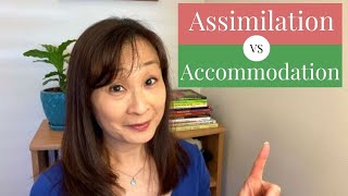 Assimilation vs Accommodation [upl. by Hallee725]