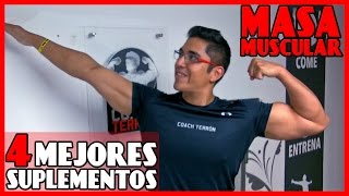 MASA MUSCULAR Los 4 mejores SUPLEMENTOS ¡Con respaldo científico [upl. by Inalial404]