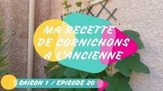 MA RECETTE DE CORNICHONS A LANCIENNE [upl. by Allerim]