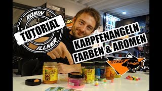 Was ist der beste Karpfenköder  Farben und Aromen [upl. by Amaryllis]