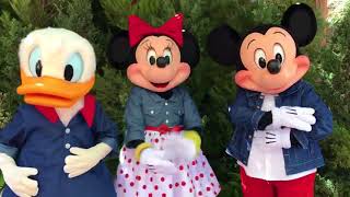 Mickey Mouse Clubhouse Hot Diggity Dancing Mickey  TOY REVIEW  KiMMi THE CLOWN [upl. by Aneelak534]