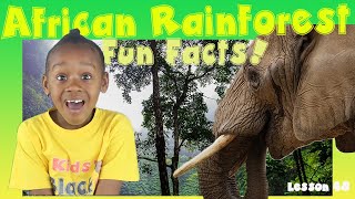 African Rainforest Facts  Kids Black History [upl. by Elleynod]