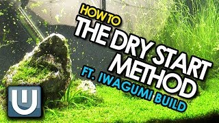 The Dry Start Method  Grow carpet the EASY way [upl. by Hsina]