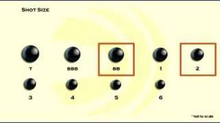 Choosing Shot Size [upl. by Whitford693]