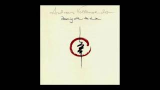 Andreas Vollenweider  Dancing with the lion Full album [upl. by Mcwilliams]