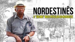 Nordestinês o quotidiomaquot mais popular do Nordeste [upl. by Aynam]