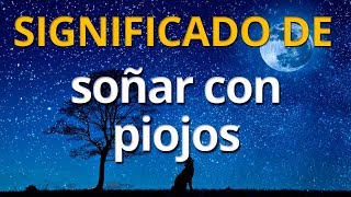 Qué significa soñar con piojos 💤 Interpretación de los Sueños [upl. by Seraphine184]