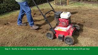 Preparing and sowing wild flowers on an existing lawn [upl. by Carothers]