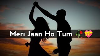 Meri Jaan Ho Tum 👩😘 Romantic Shayari Status 2020  Love Shayari Status  Peotry  MZ Edit [upl. by Ahseeyt929]