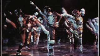 Cats the Musical Video Cast [upl. by Lemmie]