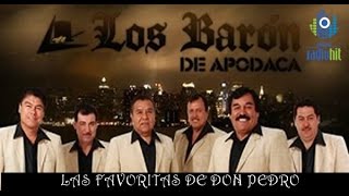 Favoritas de Los Baron de Apodaca Exitos Inmortales [upl. by Erodroeht]