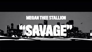 Megan Thee Stallion  Savage Animated Video [upl. by Jennie693]