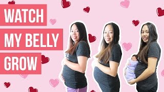 PREGNANCY VLOG 6 I Pregnancy Week By Week Belly Progression [upl. by Hole]