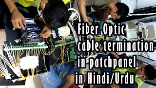 How to terminate Fiber Optic cable 2 Core in patch panel [upl. by Gawen]