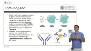 Antígenos y Anticuerpos  225  UPV [upl. by Grani]