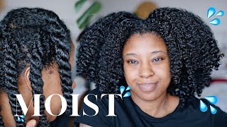 Moisturise DRY Natural Hair In 4 Easy Steps 🔢 Detailed wProduct Recommendations [upl. by Attegroeg]