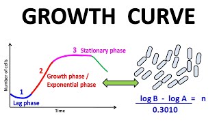 Growth curve [upl. by Anisor]