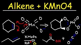 Alkene  KMnO4 Reaction [upl. by Nerot]