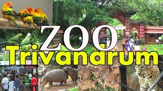 Trivendrum Zoo  Zoological Park  Tiruvananthapuram Kerala [upl. by Naaitsirhc]