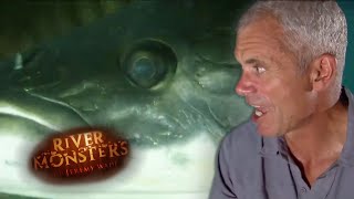 Jeremy Wade Scarred By Arapaima Attack  ARAPAIMA  River Monsters [upl. by Noda897]