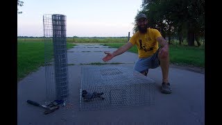 How to Build a PIGEON TRAP for feral pigeons [upl. by Hey859]