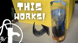 Homemade Fly Trap [upl. by Talich]