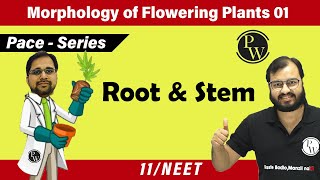 Morphology of Flowering Plants 01  Root and Stem  Class 11  Pace Series  NEET [upl. by Nnaeirrac676]