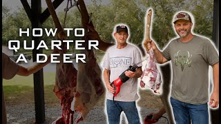 How To QUARTER A DEER The Easy Way [upl. by Sanferd]