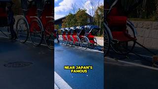 Meet Tokyos MOST ELITE Rickshaw Runners [upl. by Upshaw]